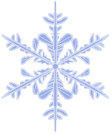 Snowflake