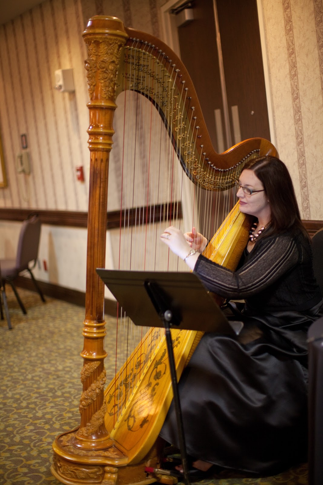 The Classic Harpist: Elegant Bridal Expo ~ Harpist in Springfield, IL