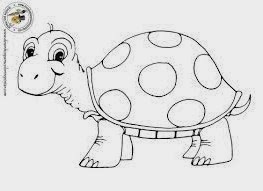 desenho de tartaruga para pintar