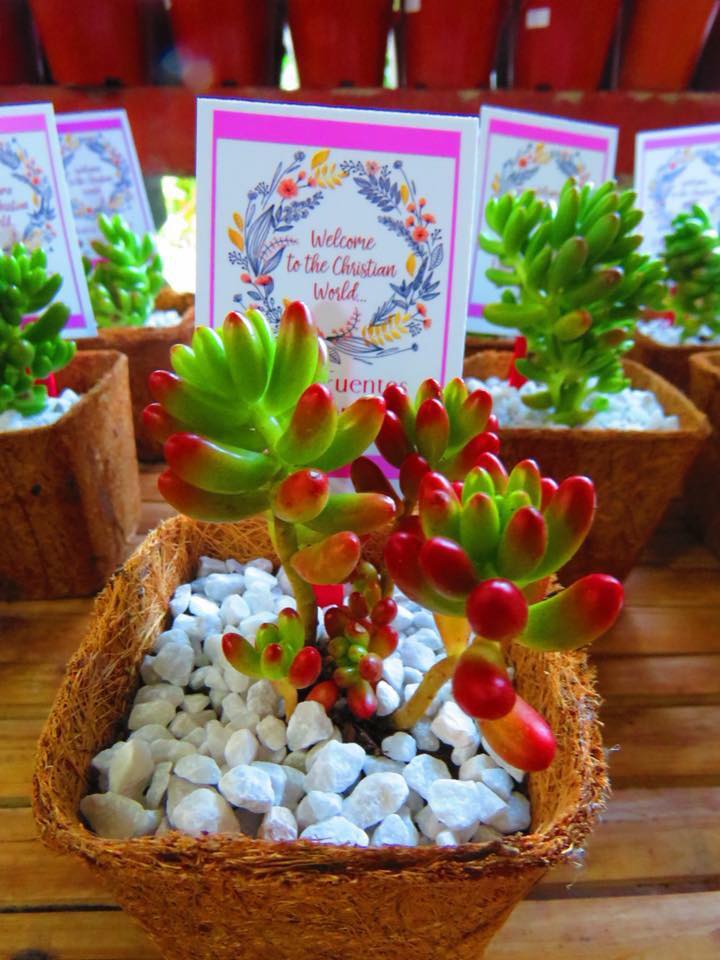 Succulents Cebu and Cactus Collection Cassiel's Succulent World