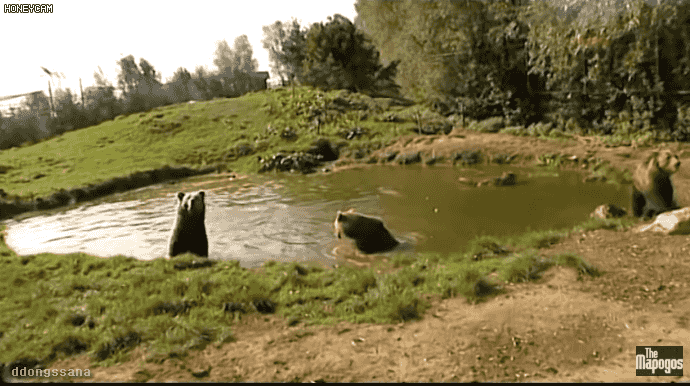 2.gif
