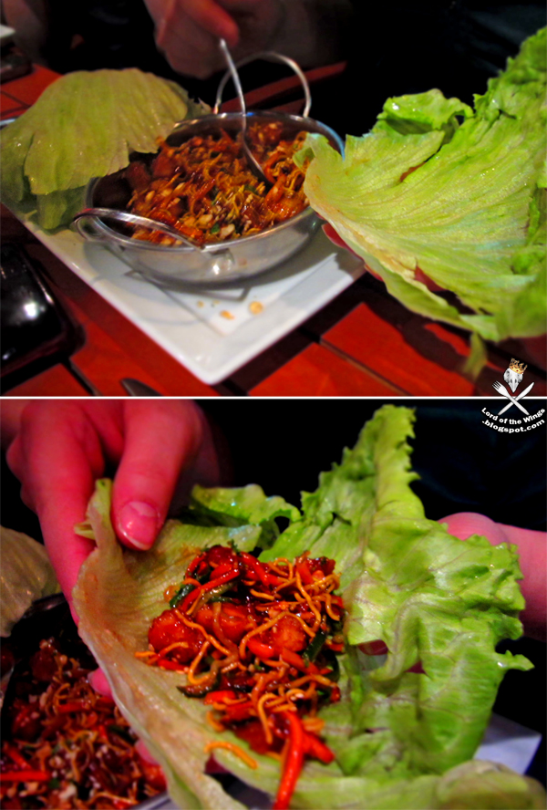 LORD of the WINGS (or how I learned to stop worrying and love the