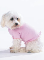 Puppy Apparel<a href="http://www.kooldawgtees.com/dog-apparel.html"></a>