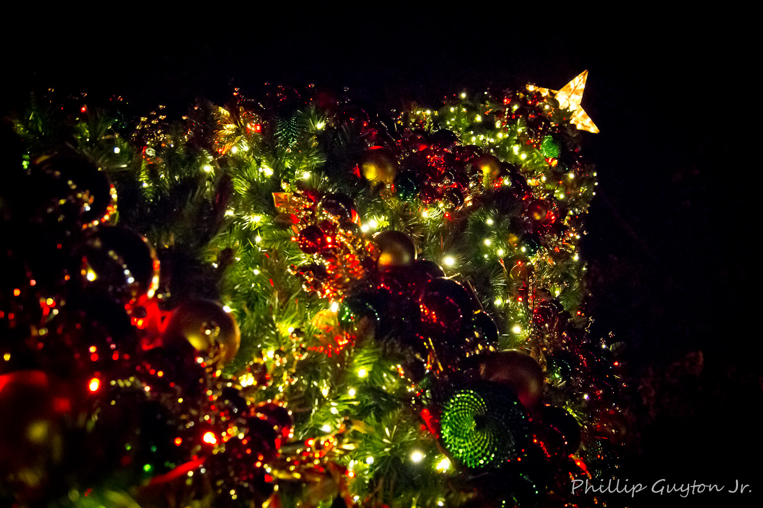 True Light Photography Riverbank Zoo's Lights Before Christmas