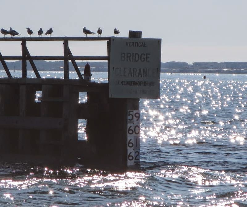 Cruising the ICW with Bob423 Swan Point Marina at a dock
