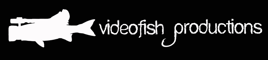 Videofish productions
