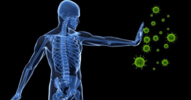 Interesting Information about the Immune System