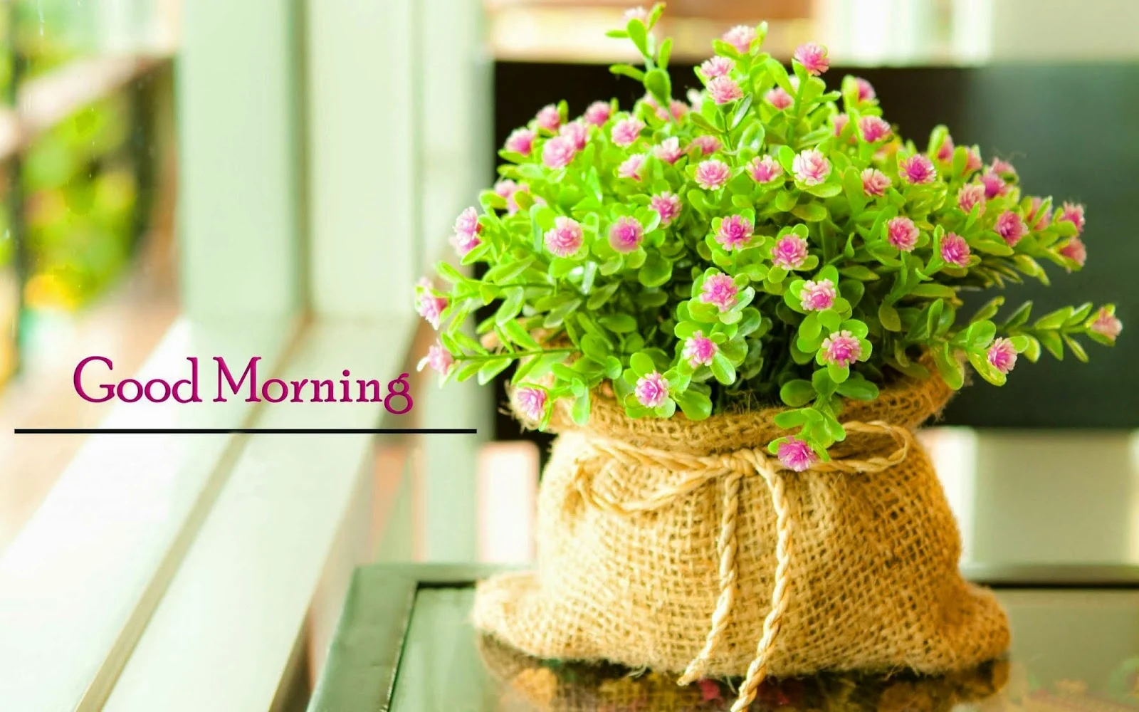 Best-Morning-Quote-Flowers-image