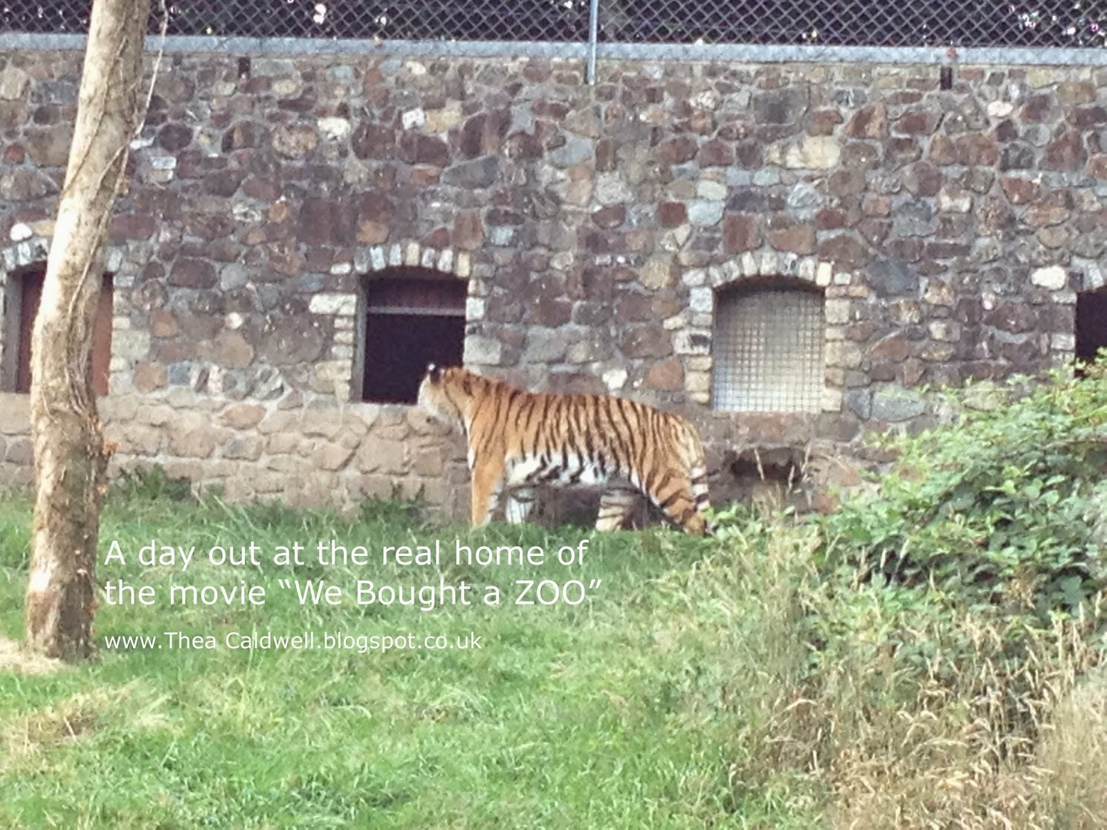 Thea Caldwell Creating a better place every day The original home of "We Bought a ZOO