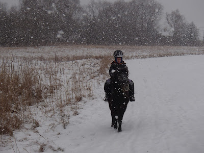 konie, kucyki, jazda konna, jazda w terenie, jazda konna dla dziecka, ferie zimowe, zima w Krakowie, zamieć śnieżna, śnieżyca