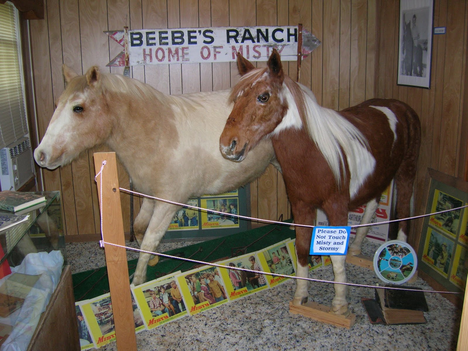 Heroes, Heroines, and History Misty of Chincoteague the WorldFamous