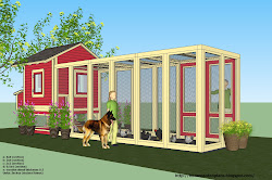 coop chicken layout plans