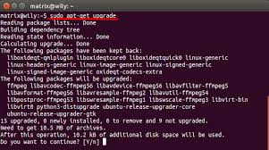 sudo apt get update script sudo apt get update script
