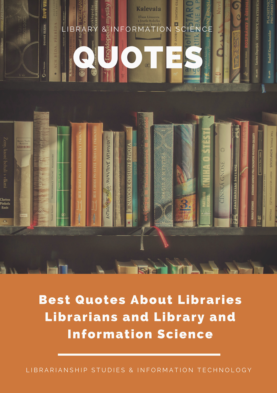 Social Science Libraries: Interdisciplinary Collections, Services, Networks (IFLA Publications)