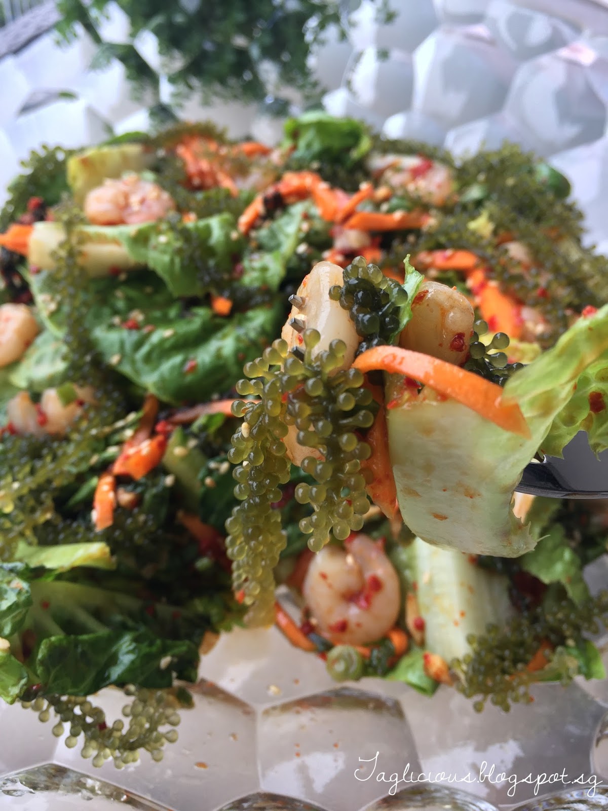 TAGlicious Korean Salad with Shrimps & Beautiful Sea Grapes Seaweed