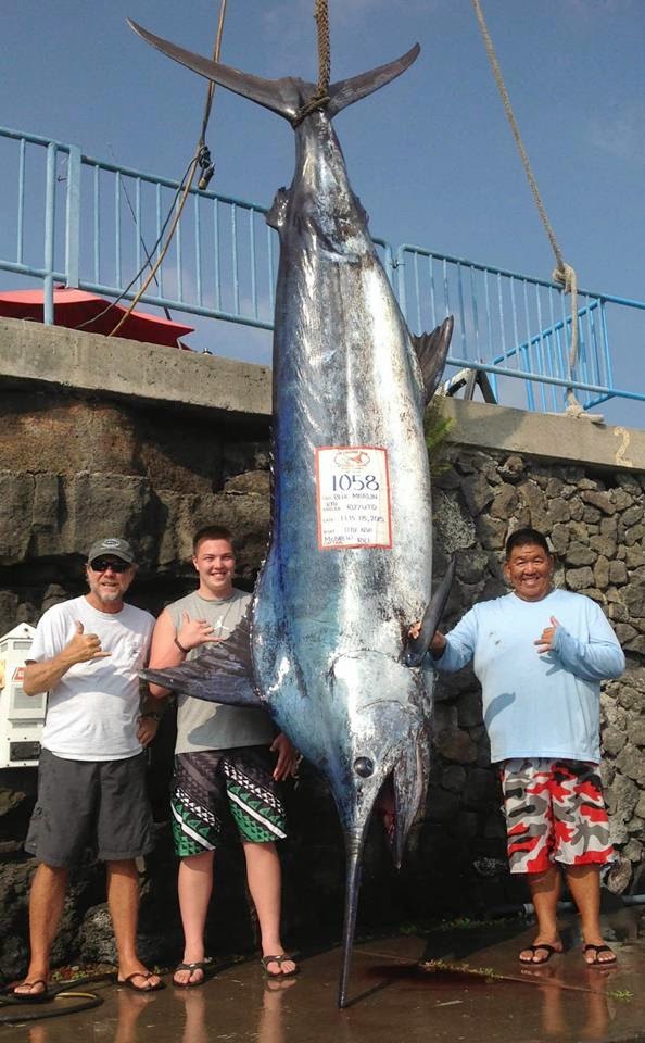 International Fishing News: HAWAII: over 1,000 pound blue marlin caught