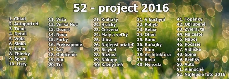 52 - project 2016