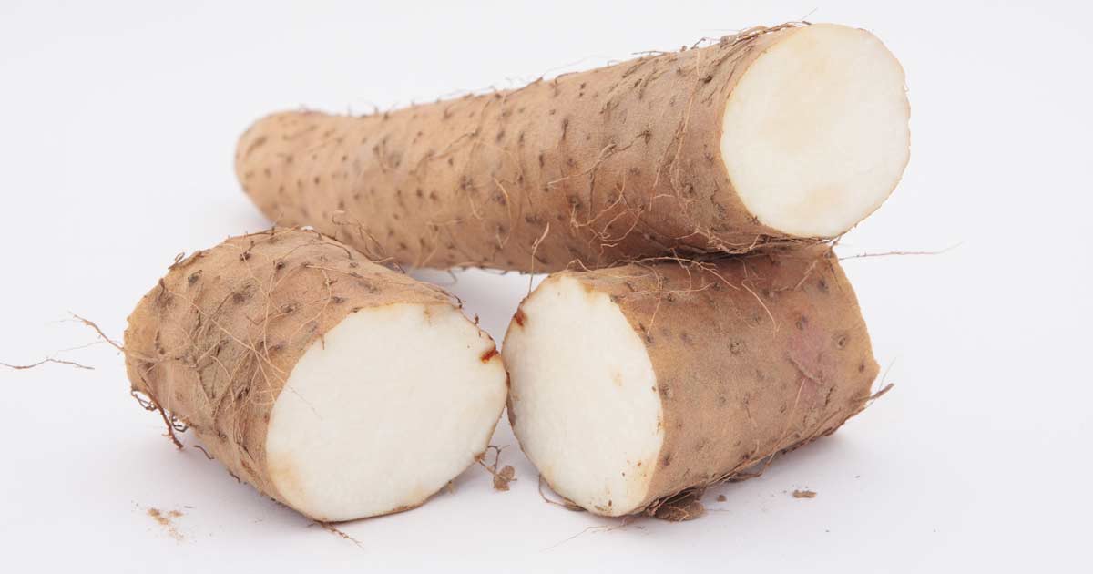 Nigerian Magazine 6 reasons why you should eat yam regularly