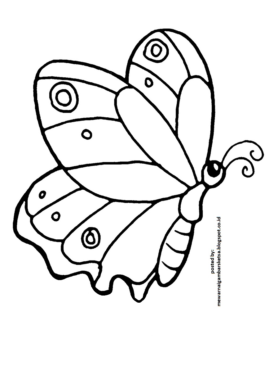 73 Gambar Sketsa Binatang Kupu-kupu Terbaru - Gambar Hewan