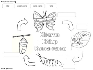 CIKGU EELA (IL) PRESCHOOLERS @ PCE: Kitaran Hidup Rama-rama::