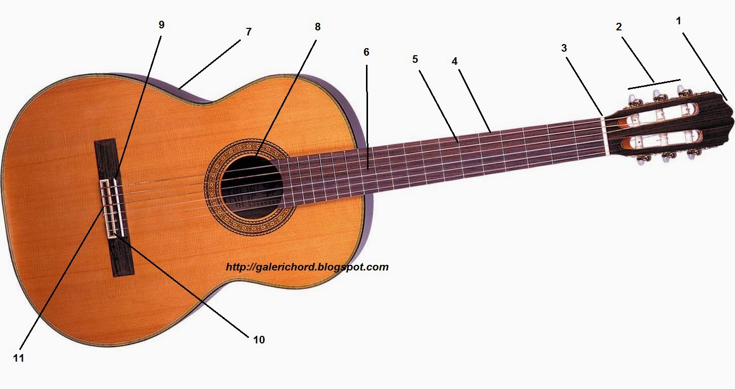 Mengenal Bagian Bagian Gitar dan Fungsinya Galeri Chord