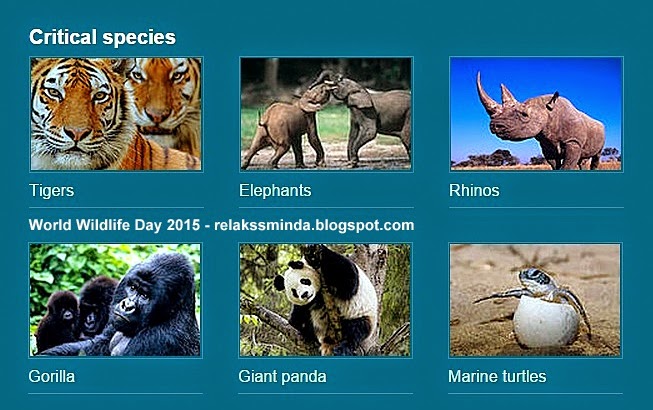 Hari Hidupan Liar Sedunia - World Wildlife Day
