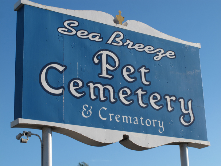 The Cemetery Traveler by Ed Snyder Pet Cemetery
