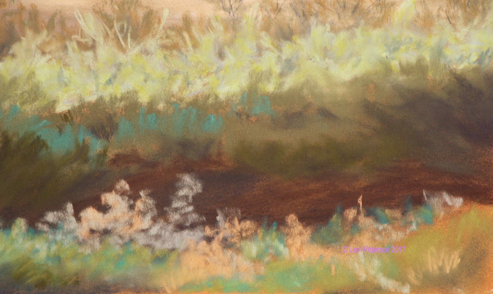 Lerri's Pastel Class Winter 2017 Pastel Class