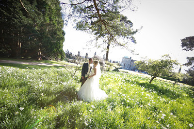 Tower Valley at Powerscourt Gardens, Wicklow Ireland