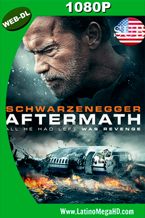 Secuelas (2017) Subtitulado HD WEB-DL 1080p (2017)