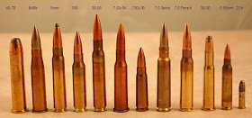 Ammo Cartridge Size Visual Comparison 