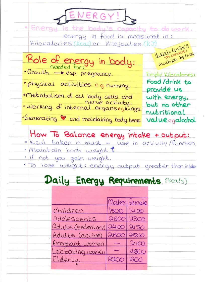 Study Notes By Kaz Home Economics