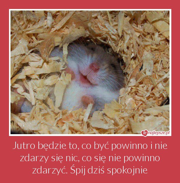 Cytaty Na Każdy Dzień Roku Cytaty