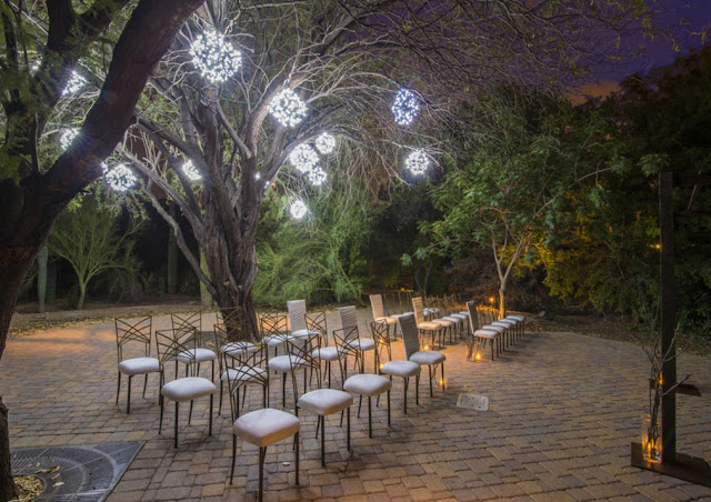 Best Phoenix Wedding Venues phoenix zoo Best Phoenix Wedding Venues phoenix zoo