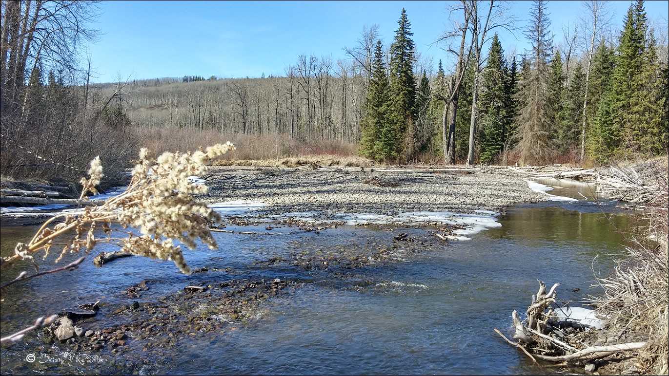 Northern Interior British Columbia Buck Creek Houston British Columbia