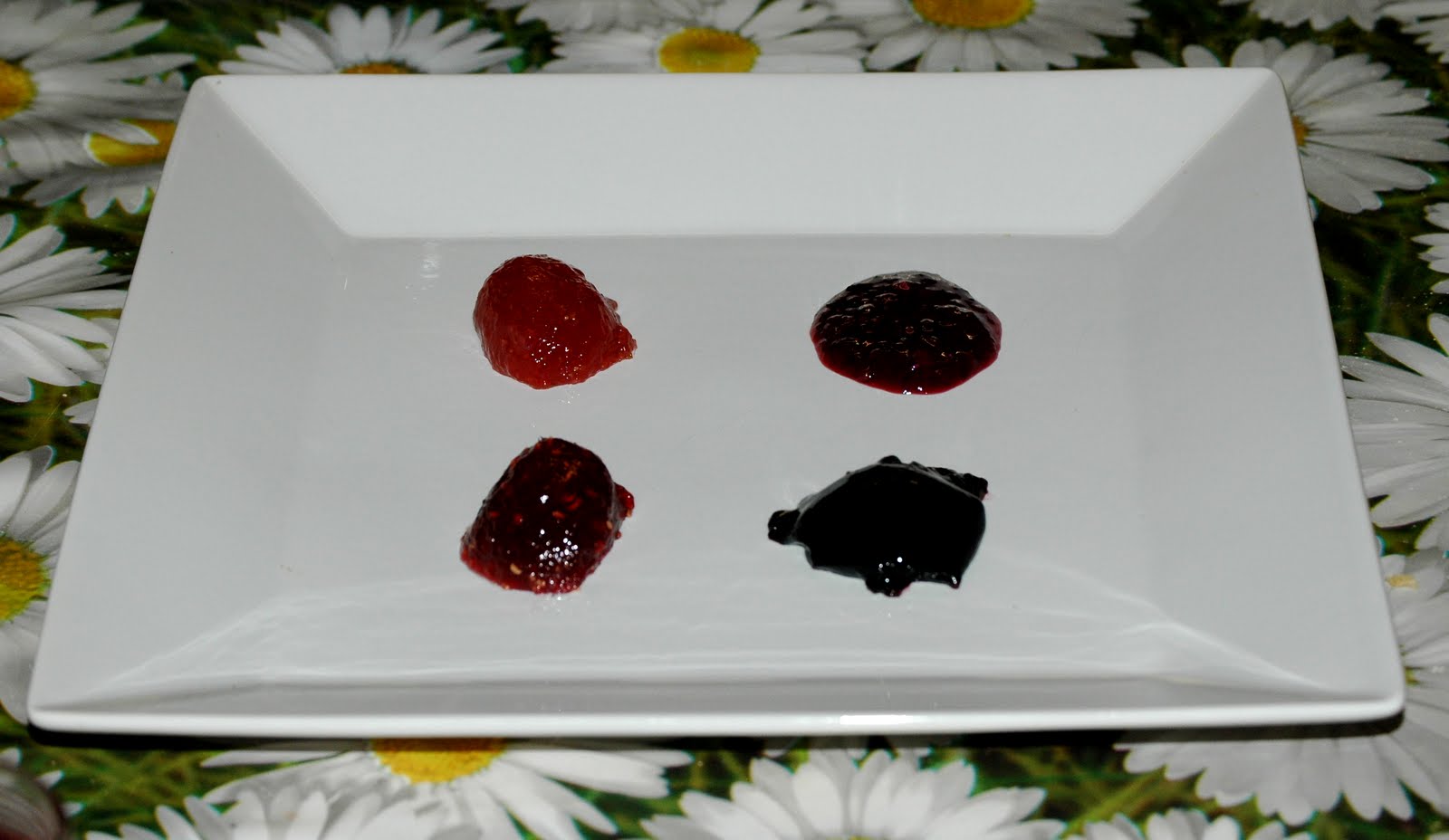 The wind and the wellies The joy of jam......and daisies