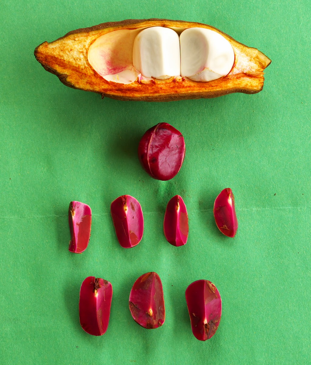 Nigeria's Seed Of Togetherness That Produced Billionaires In America