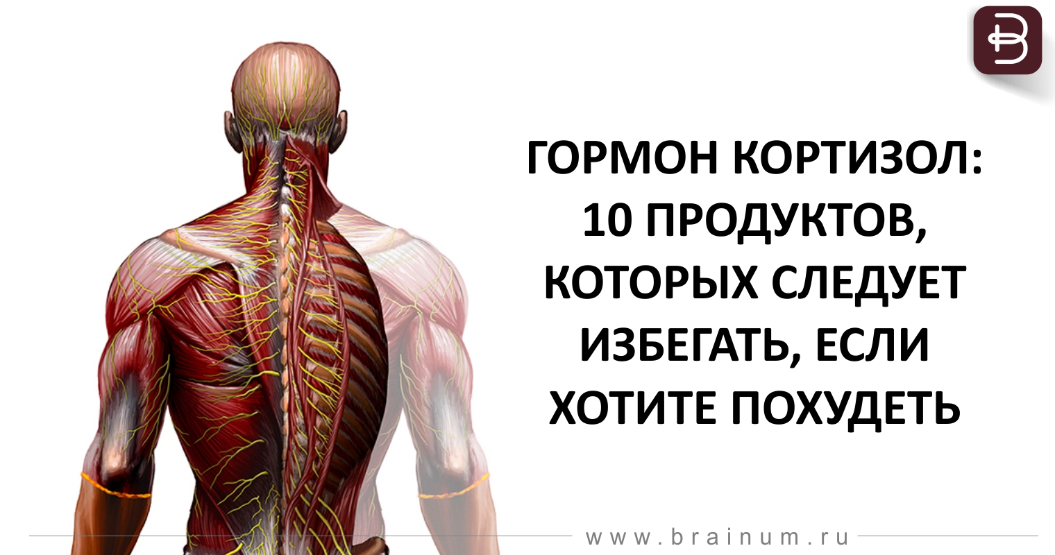 гормон кортизол как похудеть гормон кортизол как похудеть