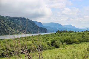 Columbia River from Rooster Rock State  Park
