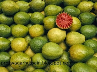 guava.jpg