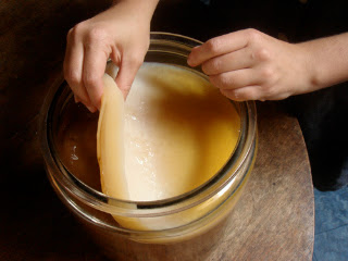 Qu&eacute; es y c&oacute;mo preparar Kombucha