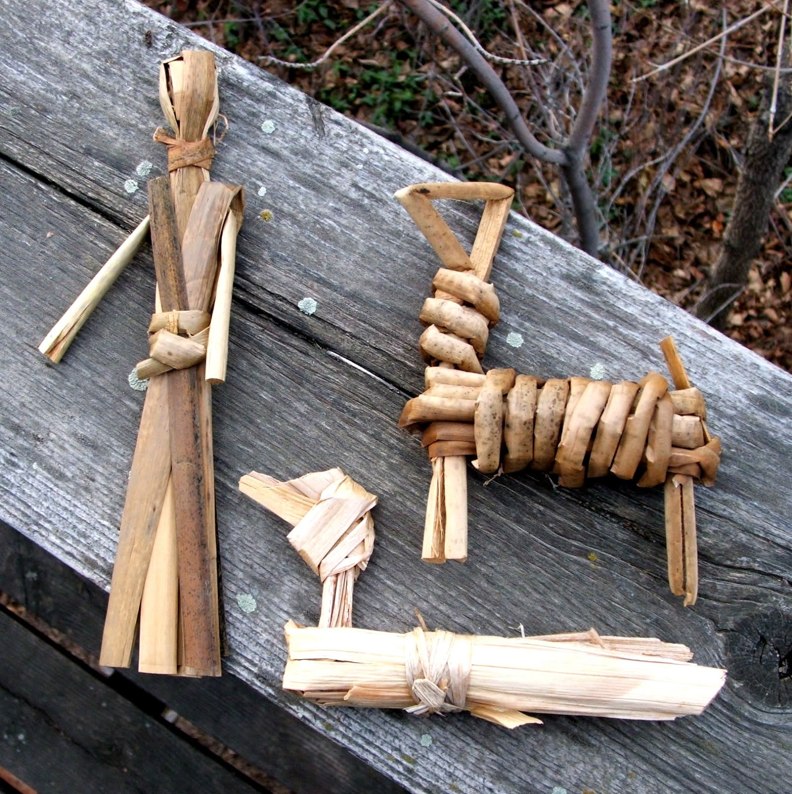 Urban Prepper Chick Learn as I Go Things you can make with Cattail