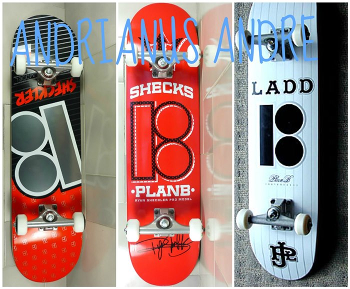 JUAL SKATEBOARD PLAN B FULLSET HARGA 600.000 toko Online menjual