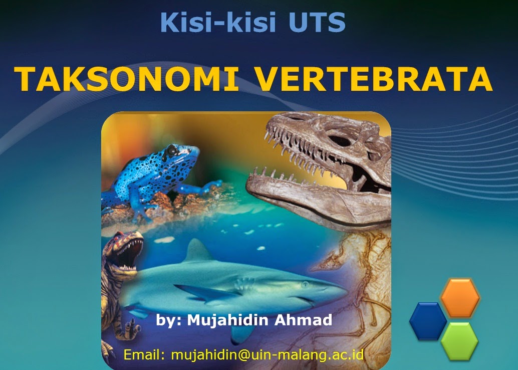 موقع أبي غازية مجاهدين أحمد الأندونيسي 2014