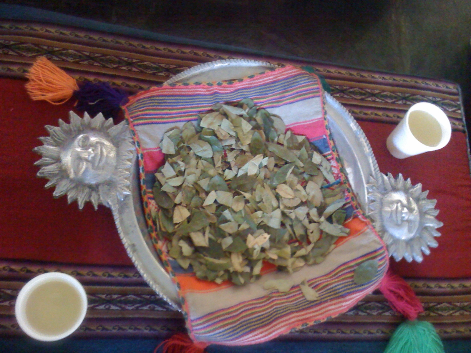 Alessandra Zecchini Coca leaves and coca tea for altitude, and