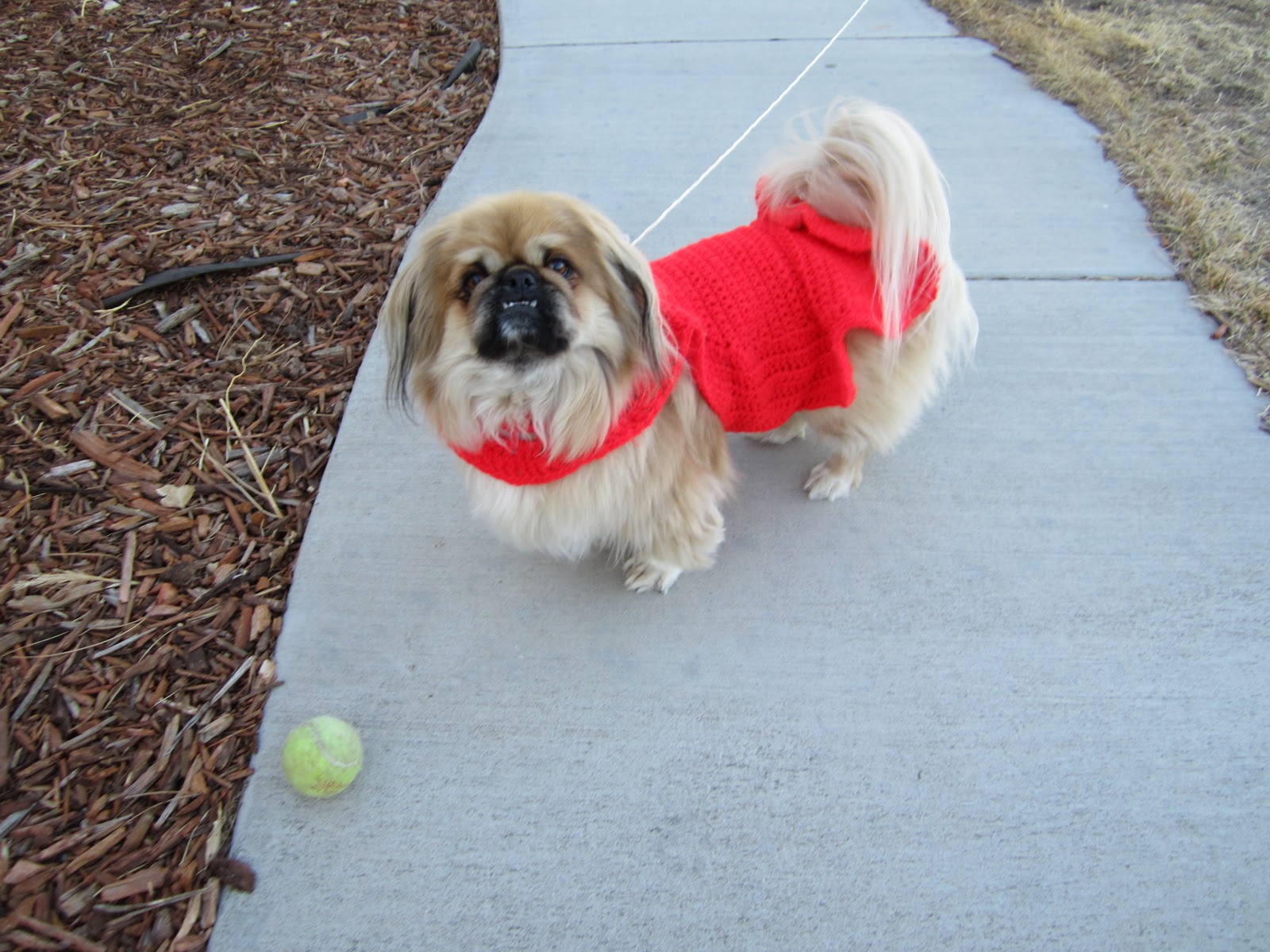 Little Susie Home Maker Bear Love, My Pekingese Crocheted Sweater!