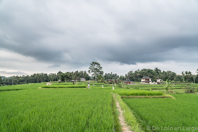 Campuhan - Ubud - Bali