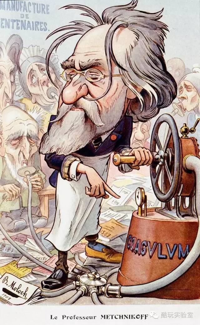 &ldquo;優酪乳、鑽石都是一場百年騙局&rdquo;的图片搜索结果