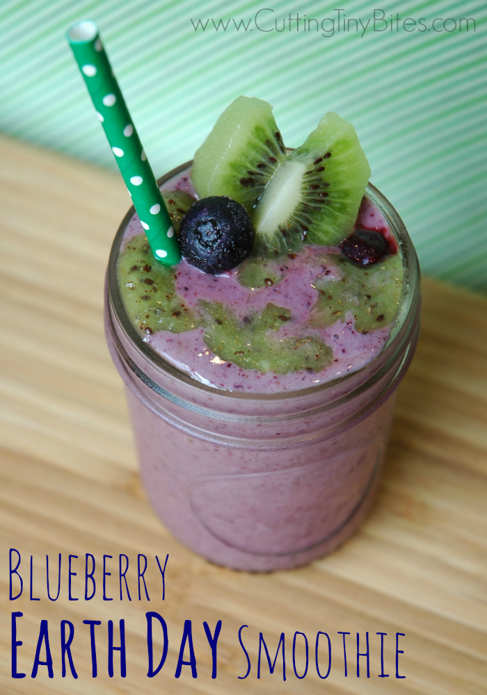 Blueberry Earth Day Smoothie. Healthy snack for kids full of fruit, protein, and calcium!! Blueberry and kiwi make ocean and land.
