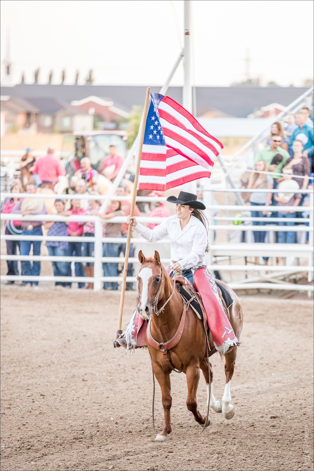 The World As I See It Box Elder County Fair Day 2